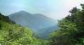 厳道峠 道志村側