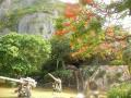 サイパン 旧日本軍司令塔跡