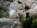 小田原　城山公園