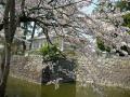 小田原 城山公園