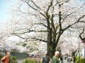 小田原 城山公園