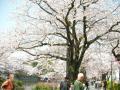 小田原　城山公園