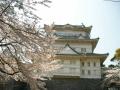 小田原 城山公園