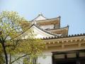 小田原 城山公園