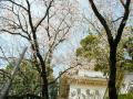 小田原 城山公園