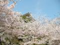 小田原　城山公園