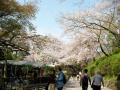 小田原　城山公園