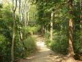 高尾山 稲荷山コース