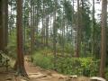高尾山 稲荷山コース
