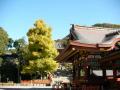 鶴岡八幡宮